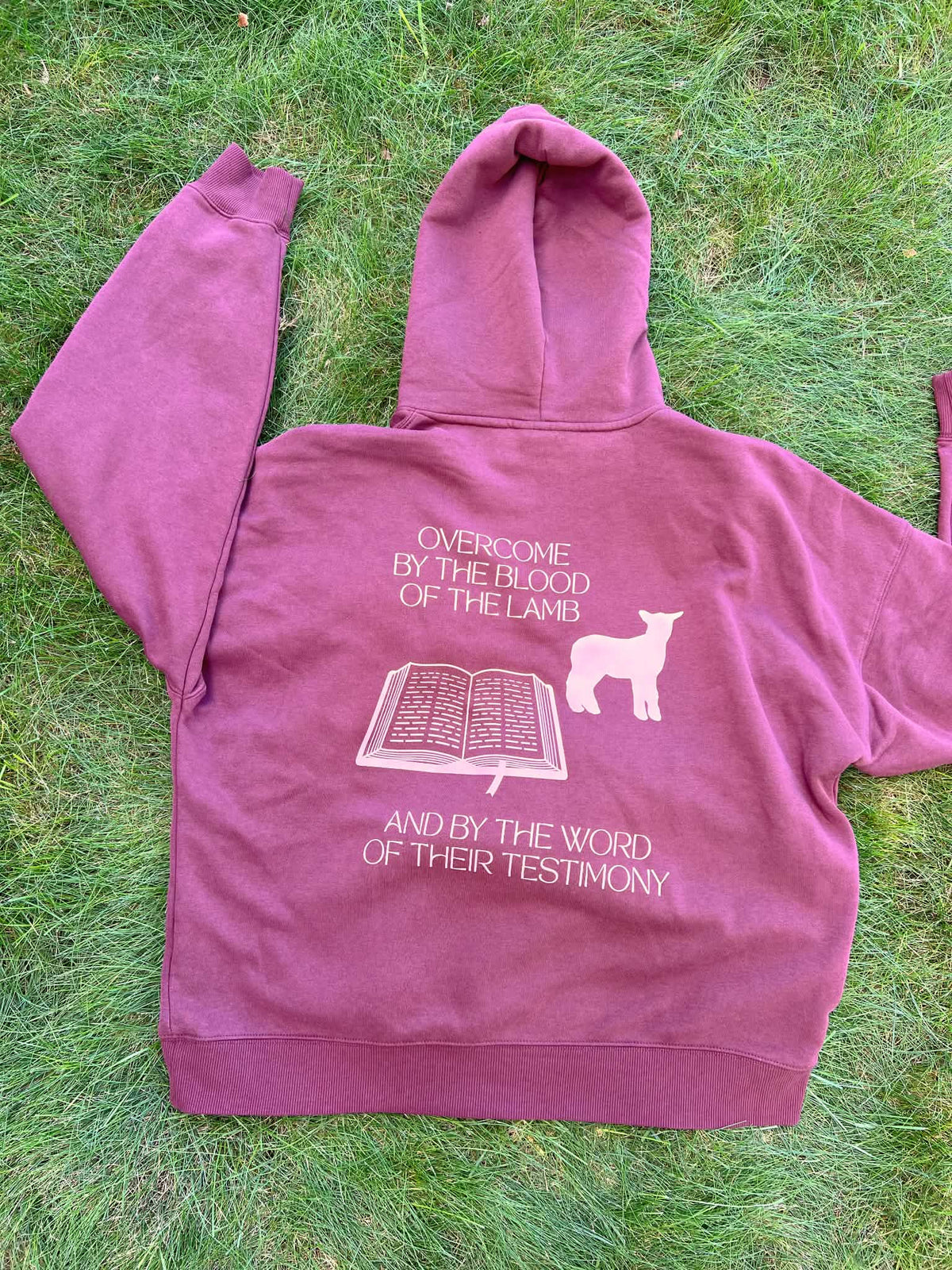 WALKING TESTIMONY HOODIE
