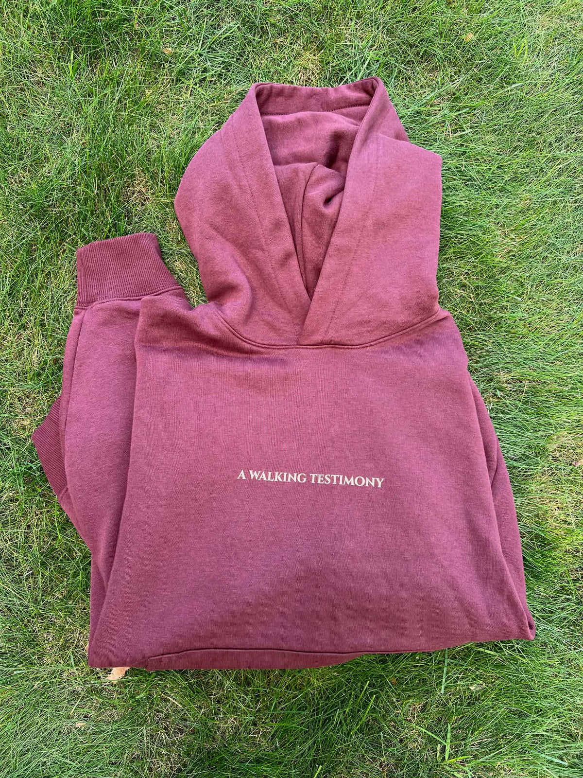 WALKING TESTIMONY HOODIE